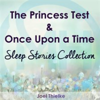 The_Princess_Test___Once_Upon_a_Time